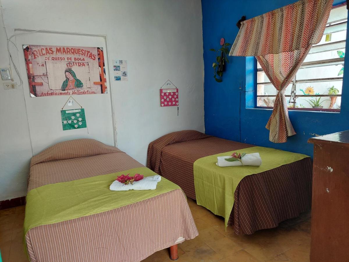 Hostel 35 Valladolid  Luaran gambar