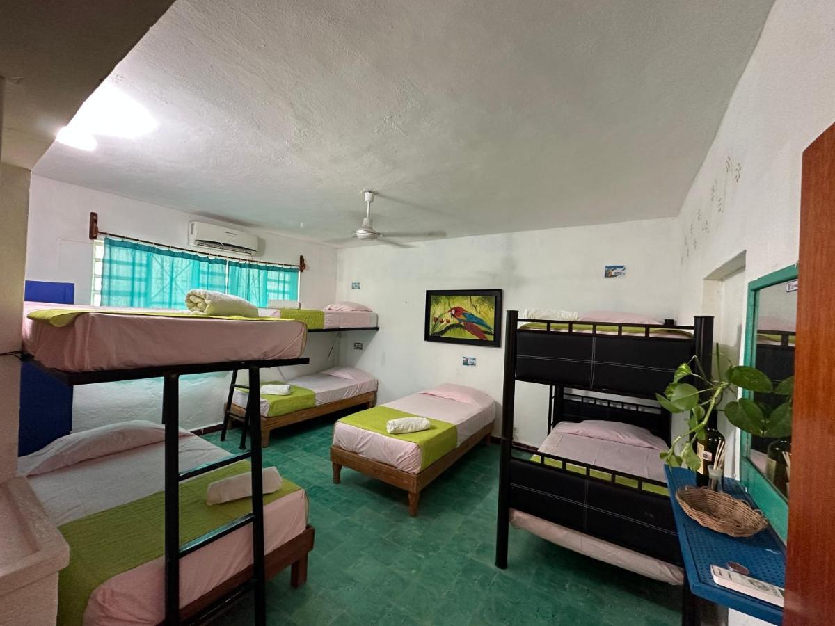 Hostel 35 Valladolid  Luaran gambar