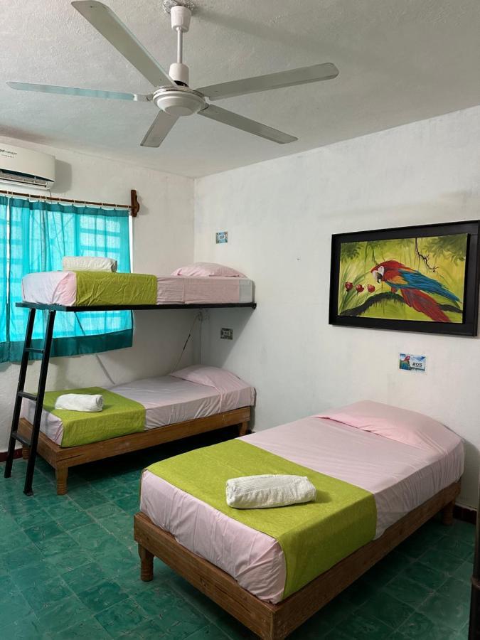 Hostel 35 Valladolid  Luaran gambar