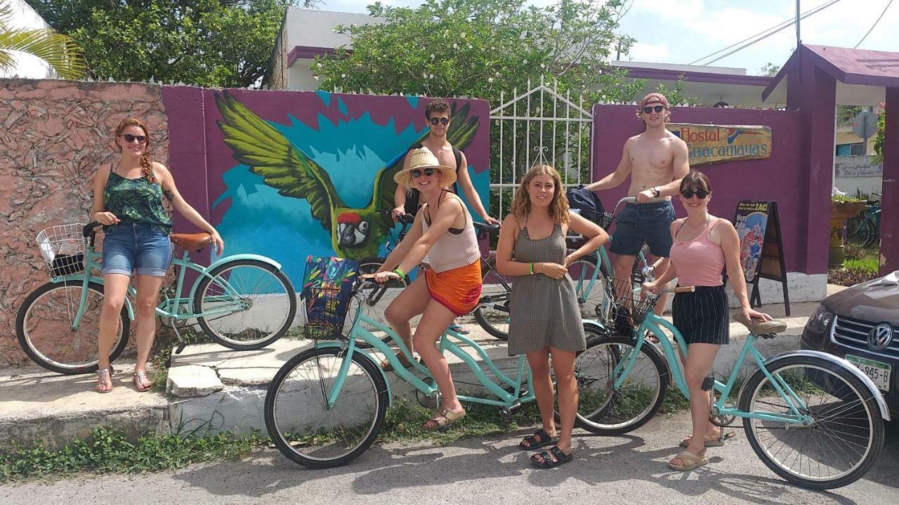 Hostel 35 Valladolid  Luaran gambar